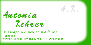 antonia kehrer business card